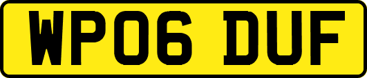 WP06DUF