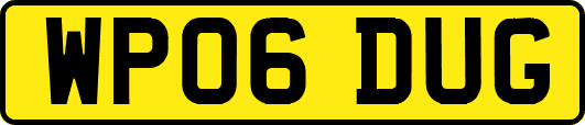 WP06DUG