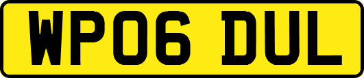 WP06DUL