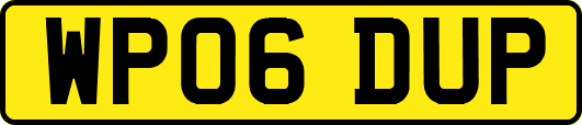 WP06DUP