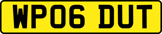 WP06DUT