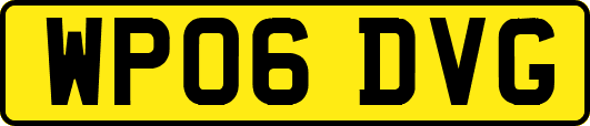WP06DVG