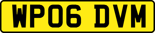 WP06DVM