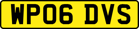 WP06DVS