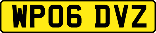 WP06DVZ