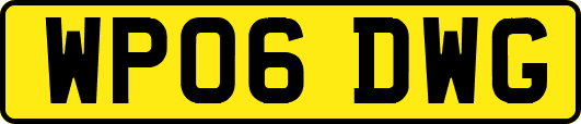 WP06DWG