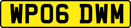 WP06DWM