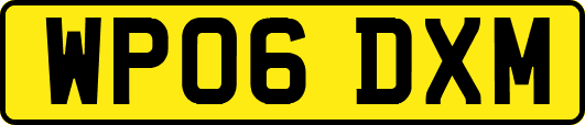 WP06DXM