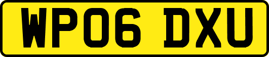 WP06DXU