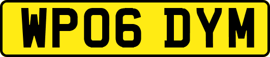 WP06DYM