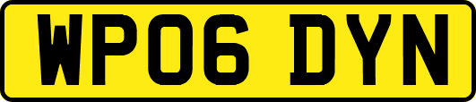 WP06DYN