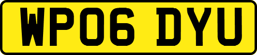 WP06DYU