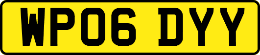 WP06DYY
