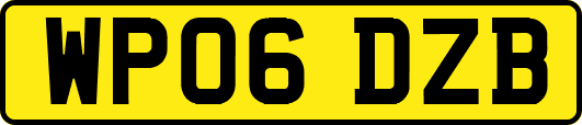 WP06DZB