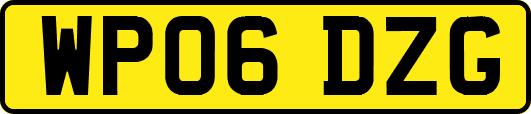 WP06DZG