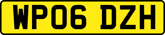 WP06DZH