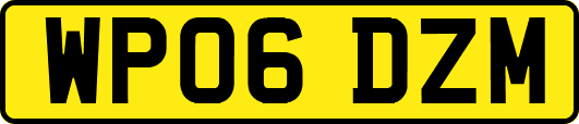 WP06DZM