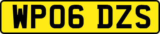 WP06DZS