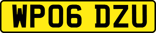 WP06DZU