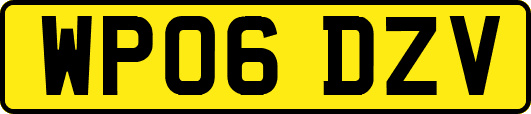 WP06DZV