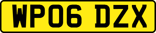 WP06DZX