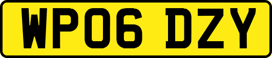 WP06DZY
