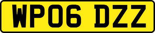 WP06DZZ