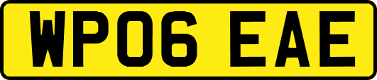 WP06EAE