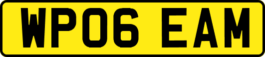 WP06EAM