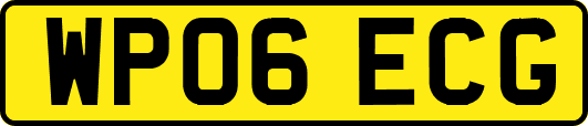 WP06ECG
