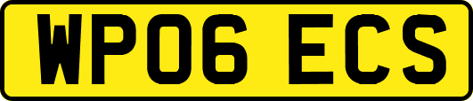WP06ECS