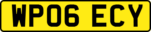WP06ECY
