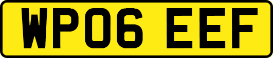 WP06EEF