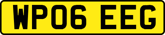 WP06EEG