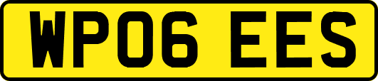 WP06EES