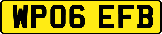 WP06EFB