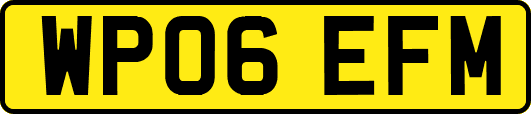 WP06EFM