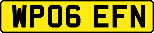 WP06EFN