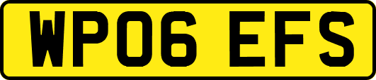 WP06EFS