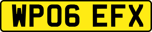 WP06EFX