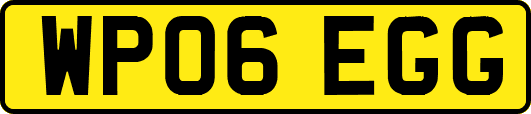 WP06EGG