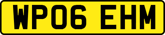 WP06EHM