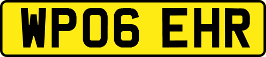 WP06EHR