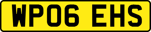 WP06EHS