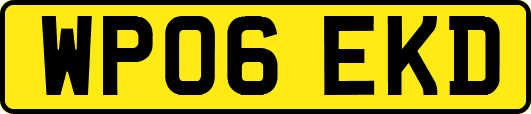 WP06EKD