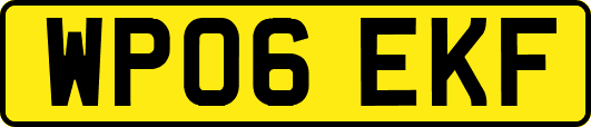 WP06EKF
