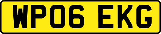 WP06EKG