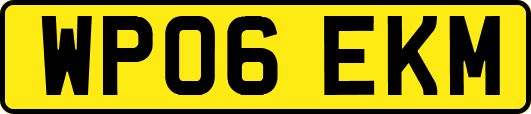WP06EKM