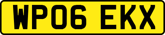WP06EKX