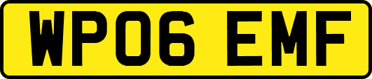 WP06EMF